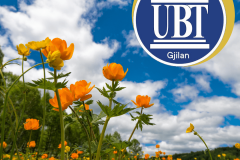 UBT-Gjilan-8-1-min
