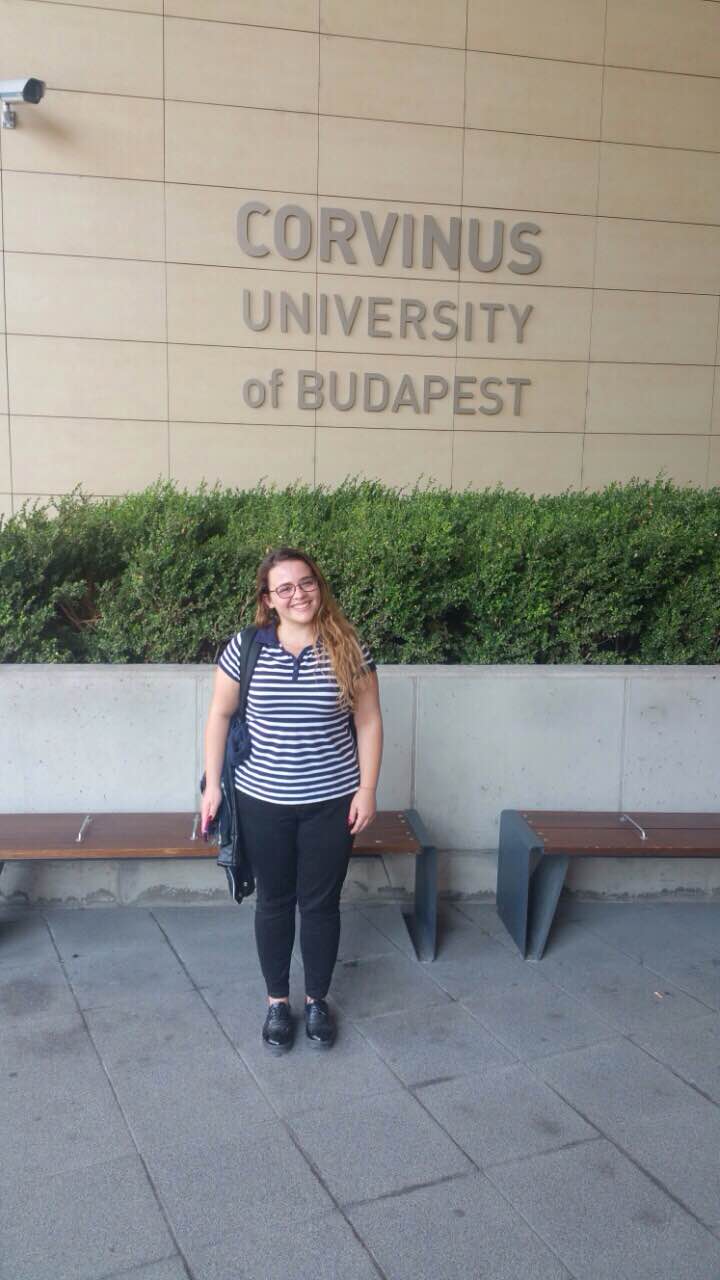 UBT-ja forcon stafin akademik – 4 vetave ua mundëson studimet e doktoratës në Budapest