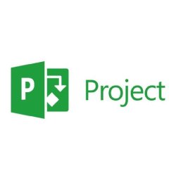 Projects Management with MS Project