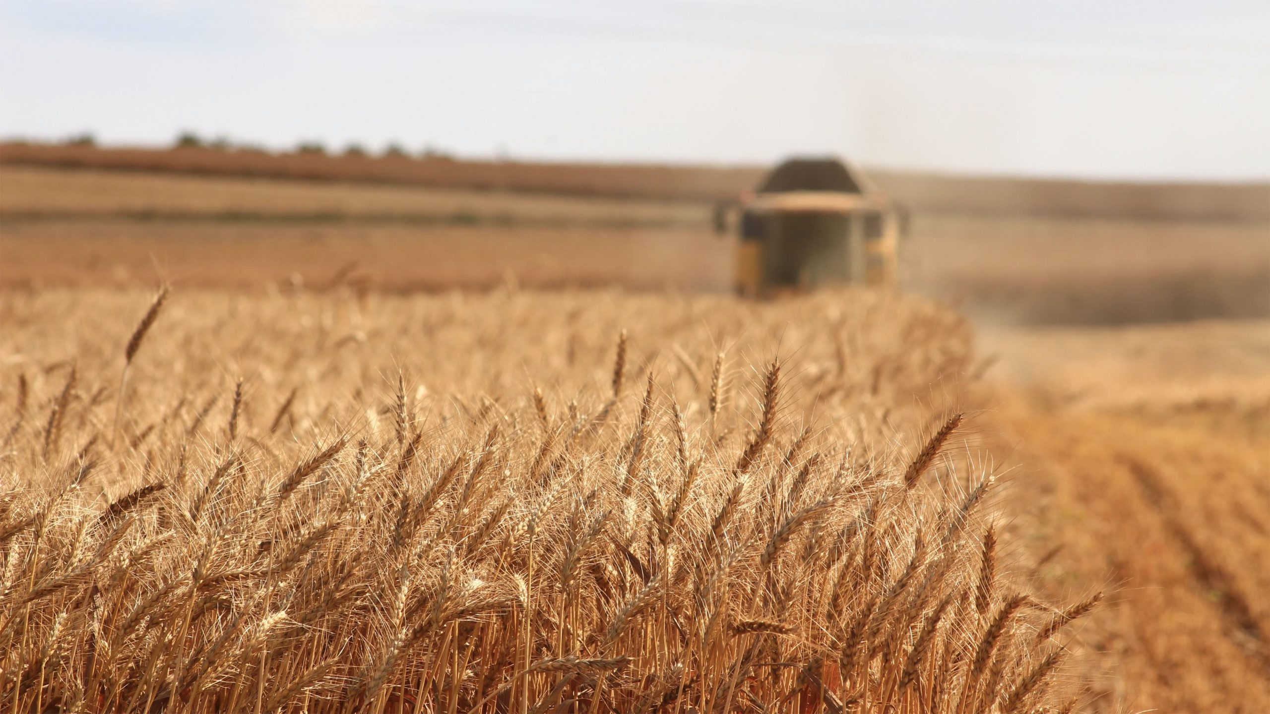 Inxhinieria e Agrikulturës dhe Mjedisit