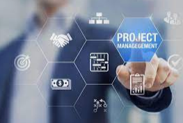 Project management