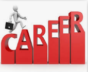 Career orientation and professional development