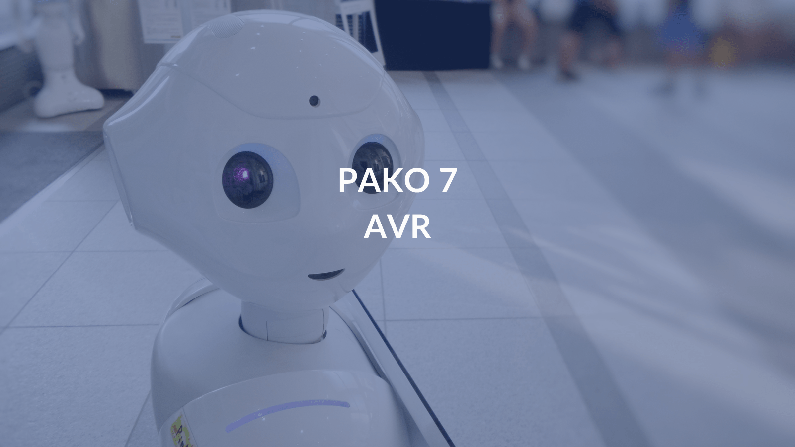 Pako 7: Go Virtual!