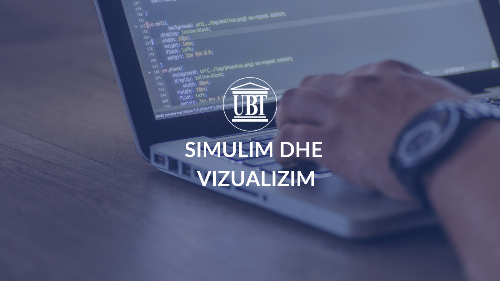 Simulim dhe Vizualizim