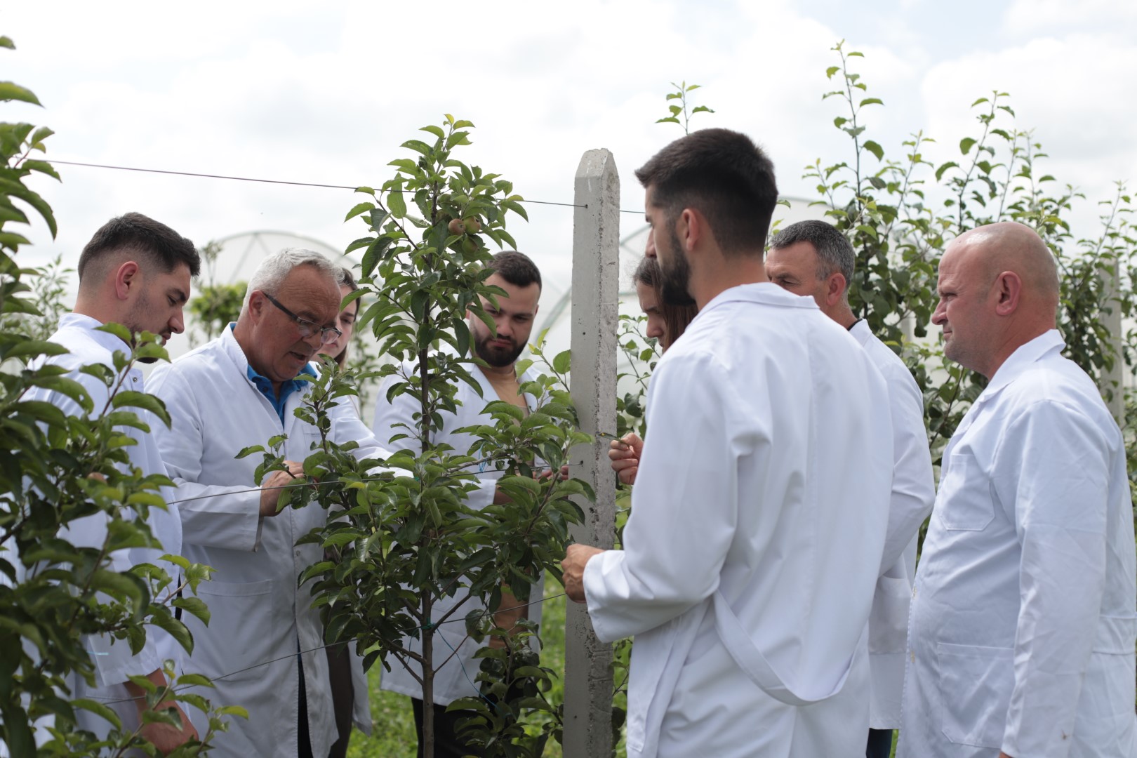 Studentët e Inxhinierisë së Agrikulturës dhe Mjedisit në UBT kultivuan bimë me sistemin inovativ të Hidroponisë