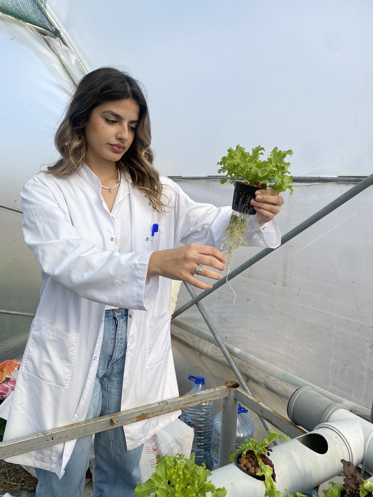 Studentët e Inxhinierisë së Agrikulturës në UBT implementojnë protokollin e të ushqyerit të sallatës së gjelbër të kultivuar në sistem të kultivimit në hidroponi NFT