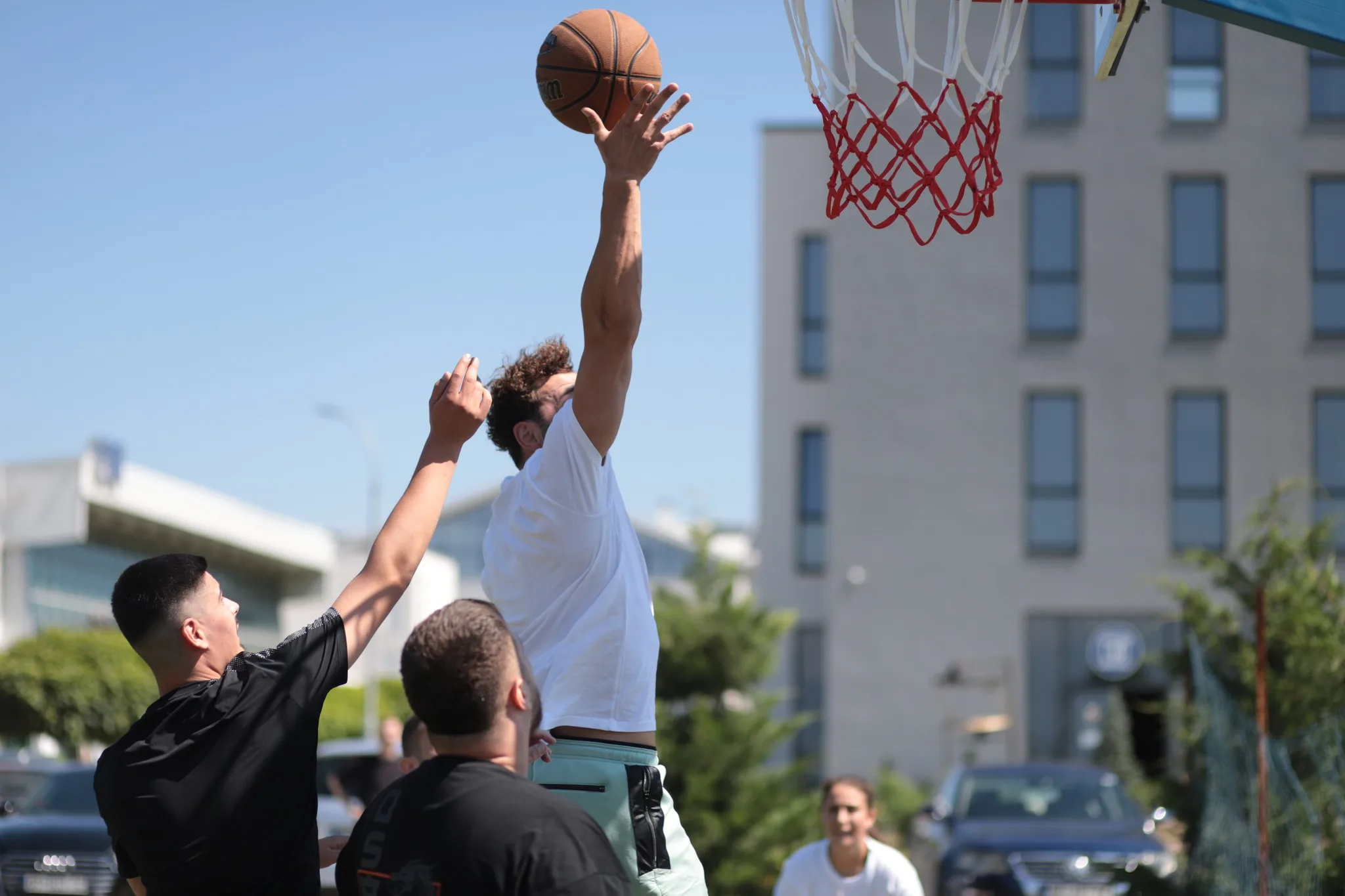 Shkencat e Sportit dhe të Lëvizjes