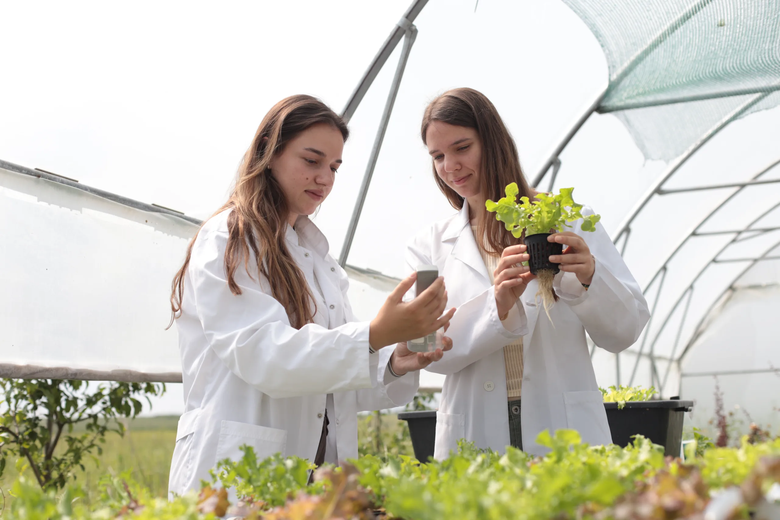 Agriculture and Environments