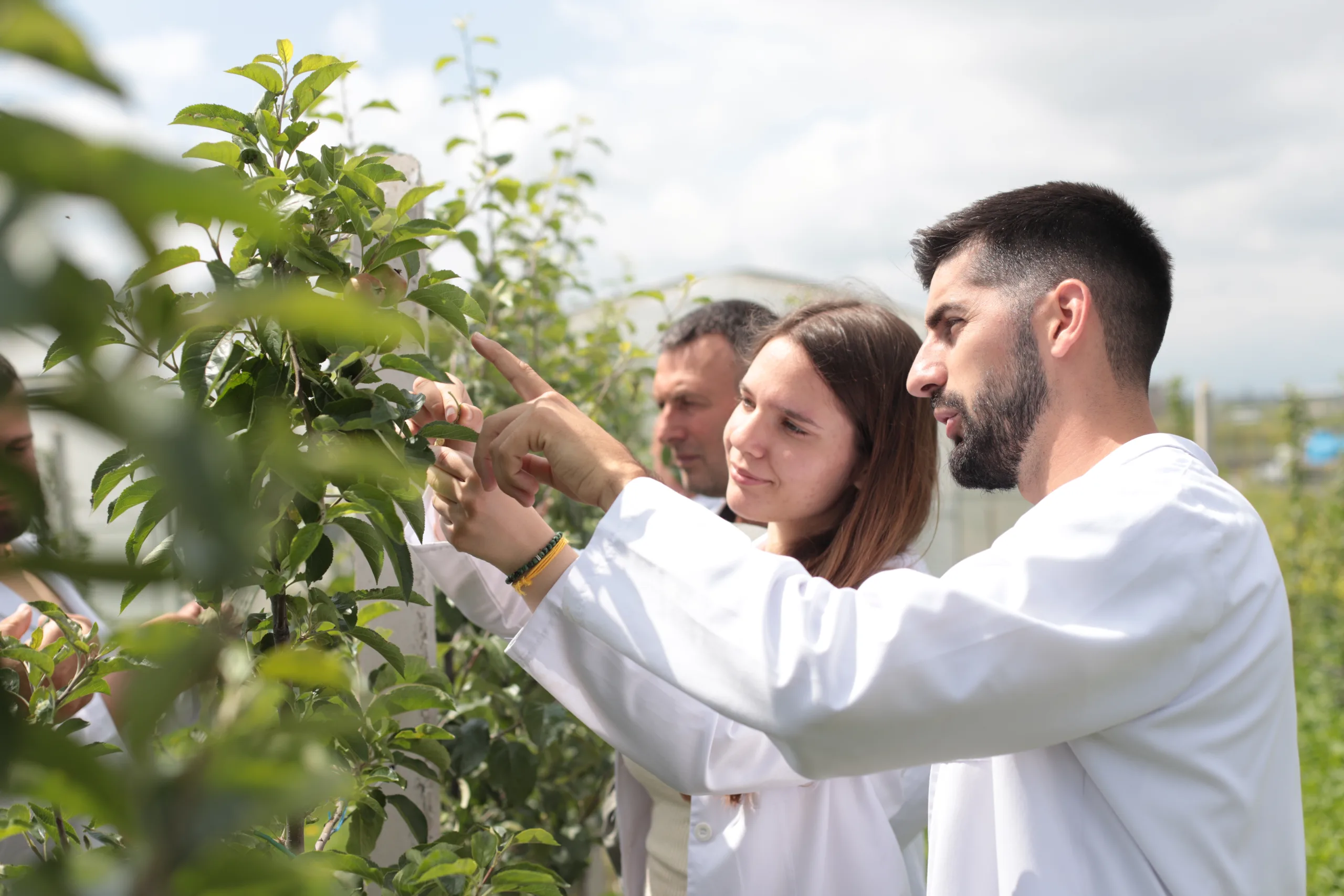 Inxhinieria e Agrikulturës dhe Mjedisit