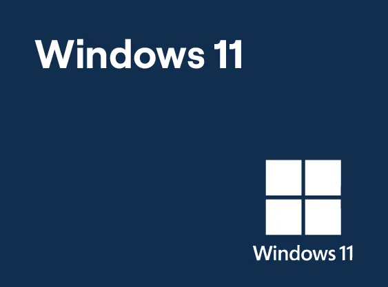 Windows 11