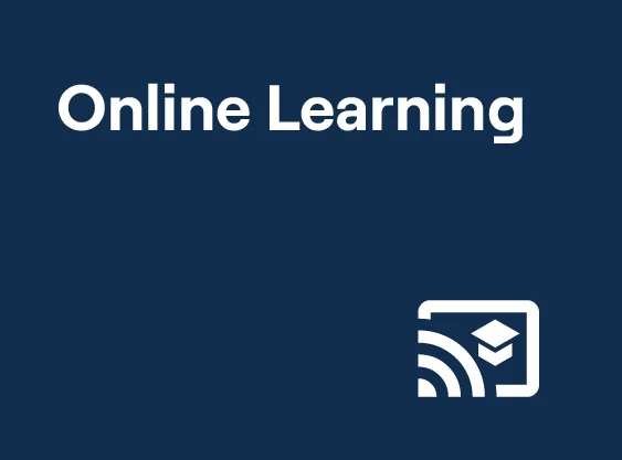 Online Learning