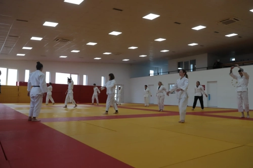 tudentët e Shkencave të Sportit dhe të Lëvizjes dhe të Aktrimit nga UBT ishin në Qendrën Nacionale të Xhudos në Pejë