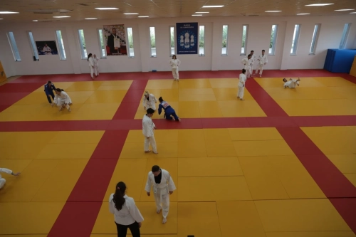 tudentët e Shkencave të Sportit dhe të Lëvizjes dhe të Aktrimit nga UBT ishin në Qendrën Nacionale të Xhudos në Pejë