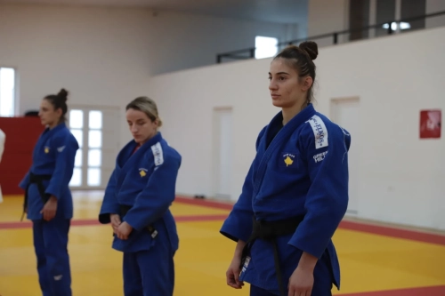 tudentët e Shkencave të Sportit dhe të Lëvizjes dhe të Aktrimit nga UBT ishin në Qendrën Nacionale të Xhudos në Pejë